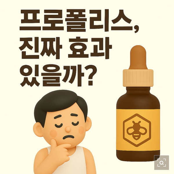 프로폴리스, 진짜 효과 있을까?/gpt