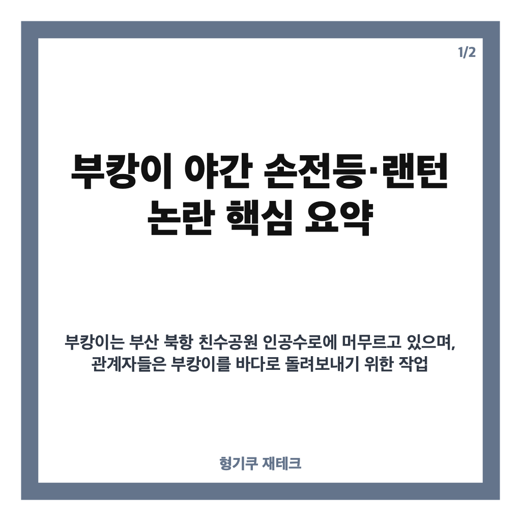 부캉이 괴롭히지 마세요, 야간 손전등&middot;랜턴 논란과 관찰 현황 카드뉴스 1