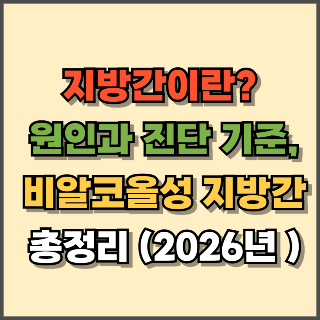 지방간이란? 원인과 진단 기준, 비알코올성 지방간 총정리 (2026년 기준)