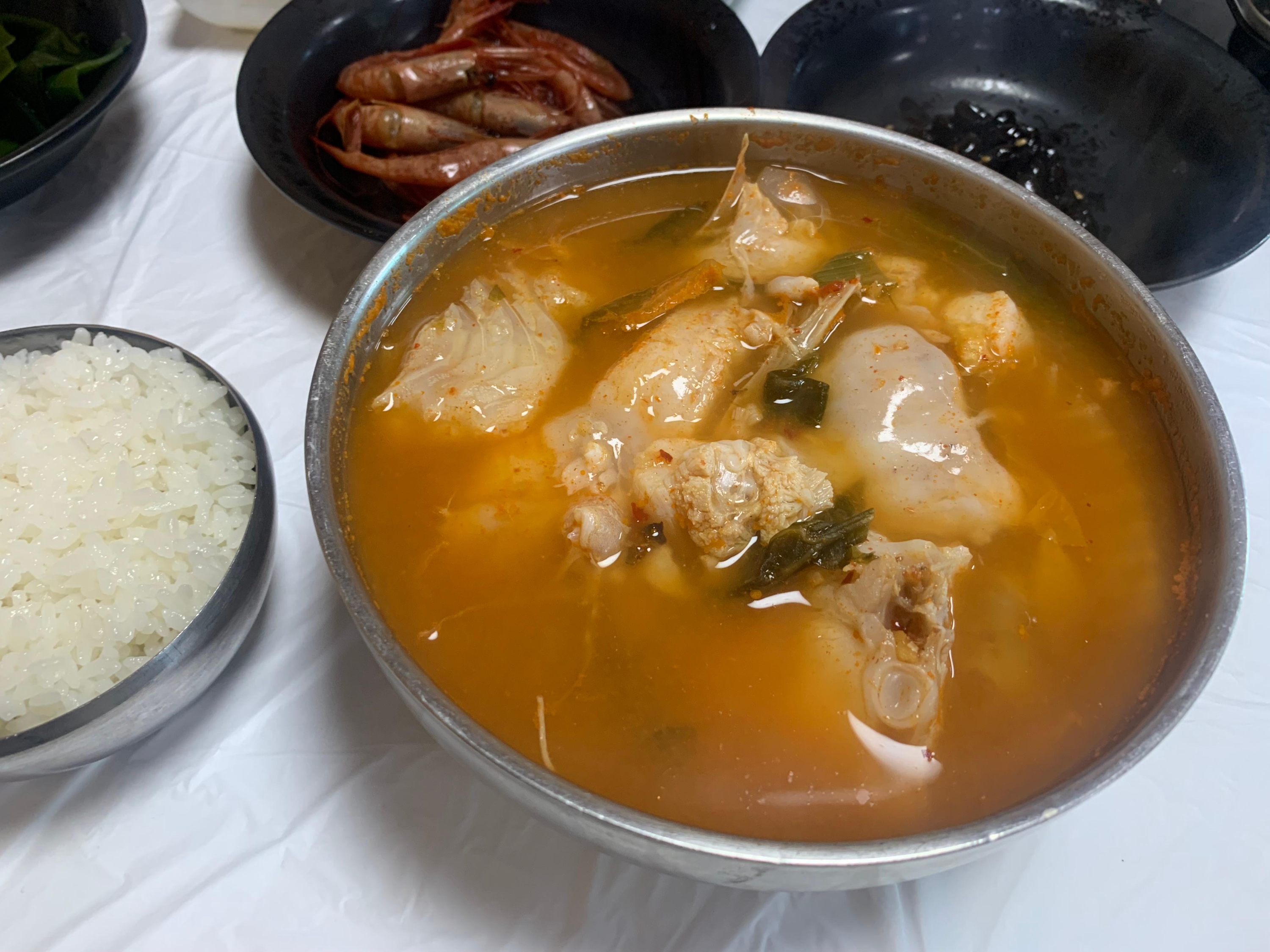 묵호 거북이횟집 곰치국 후기 내돈내산