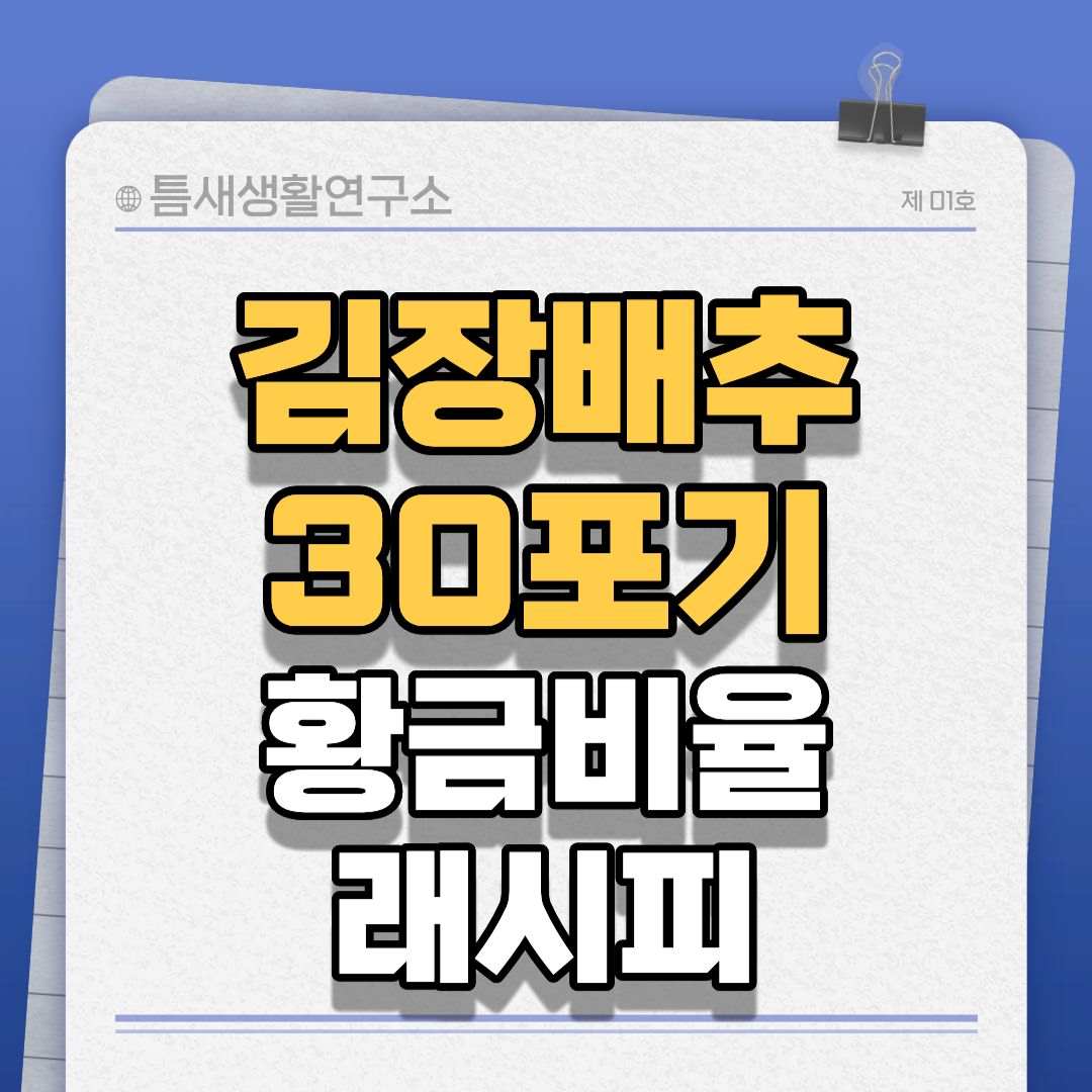 김장배추30포기-썸네일