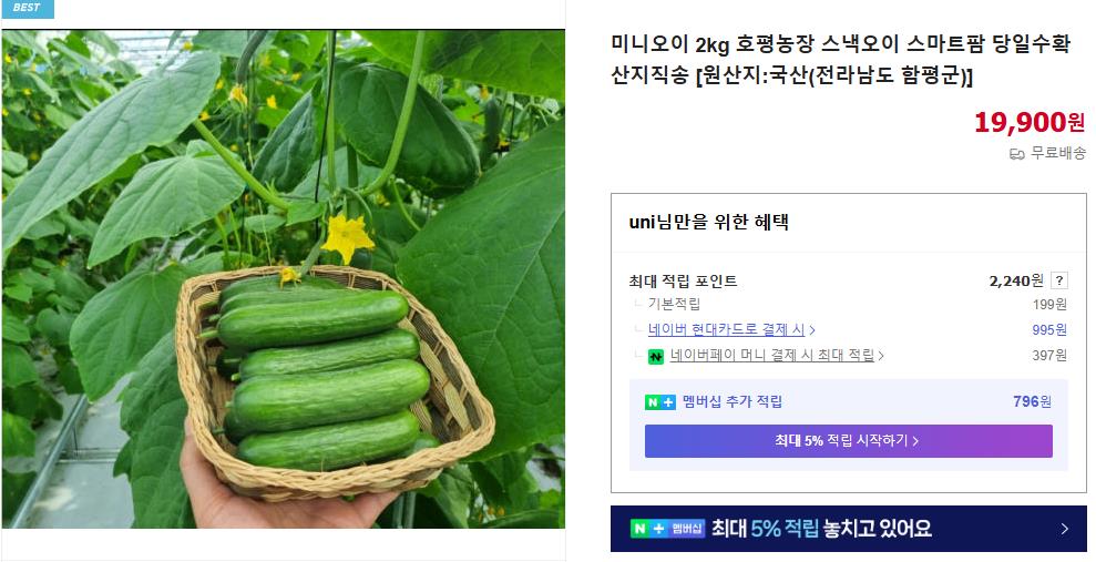 6시내고향 함평 미니오이 주문