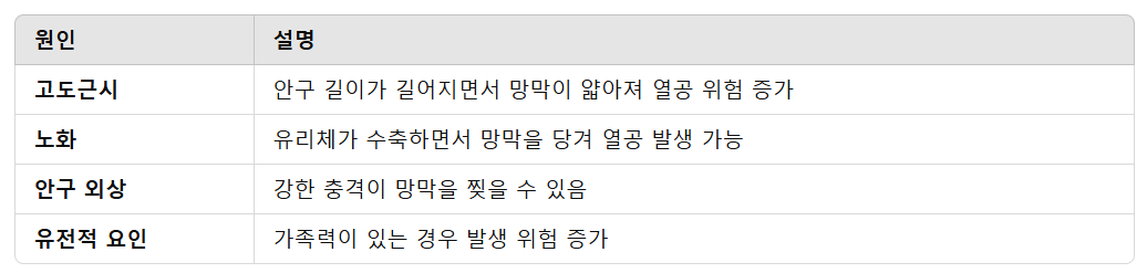 망막 열공 주요 원인