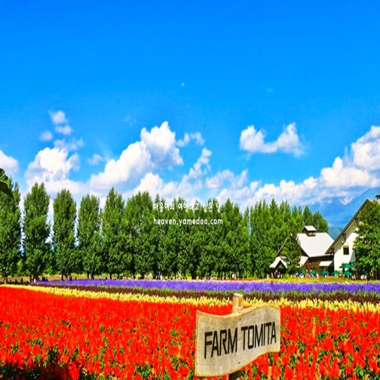 7월 해외 여행 추천