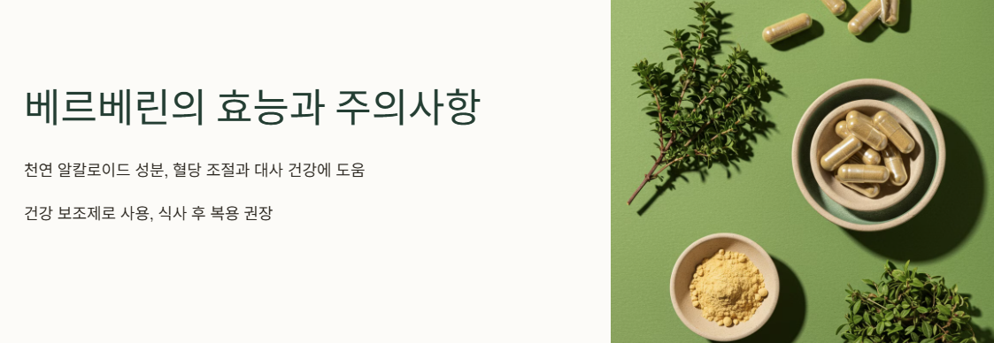 베르베린의 이해