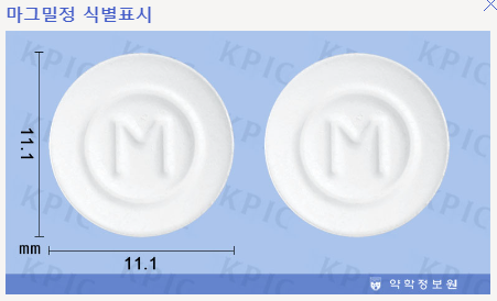 마그밀정 모양