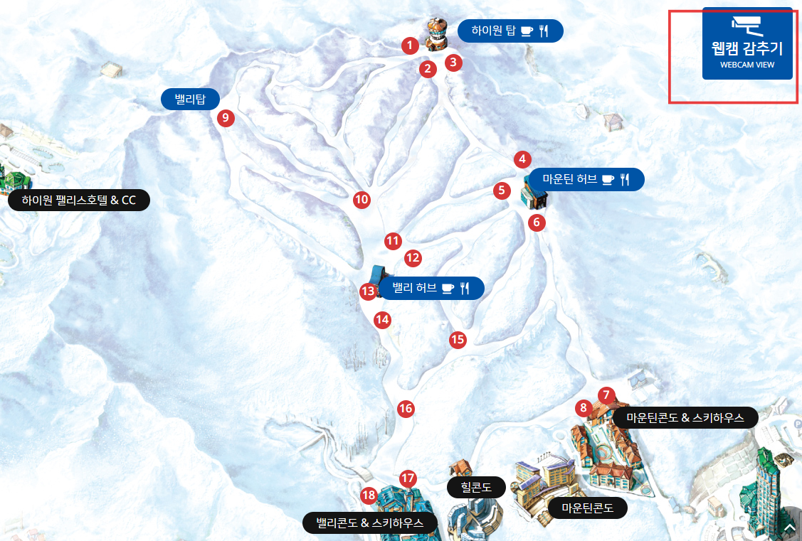 하이원 리조트 실시간 웹캠