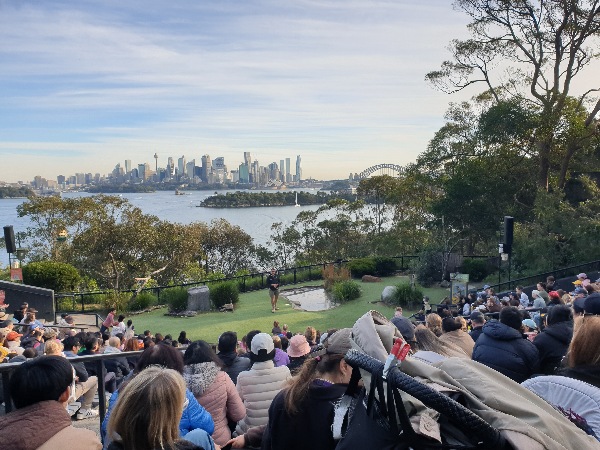 시드니 타롱가 주(Taronga Zoo) 데이트_버드 쇼