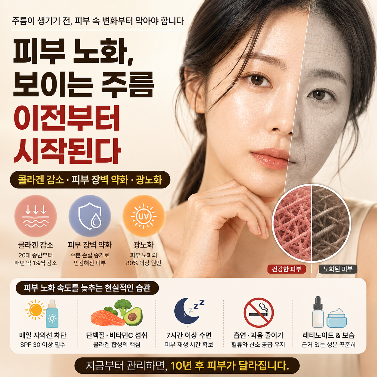 피부 노화 (콜라겐 감소, 피부 장벽, 생활습관)