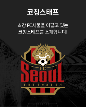FC서울 감독&amp;#44;선수&amp;#44;팀스타일&amp;#44;일정&amp;#44; 서울상암월드컵 경기장