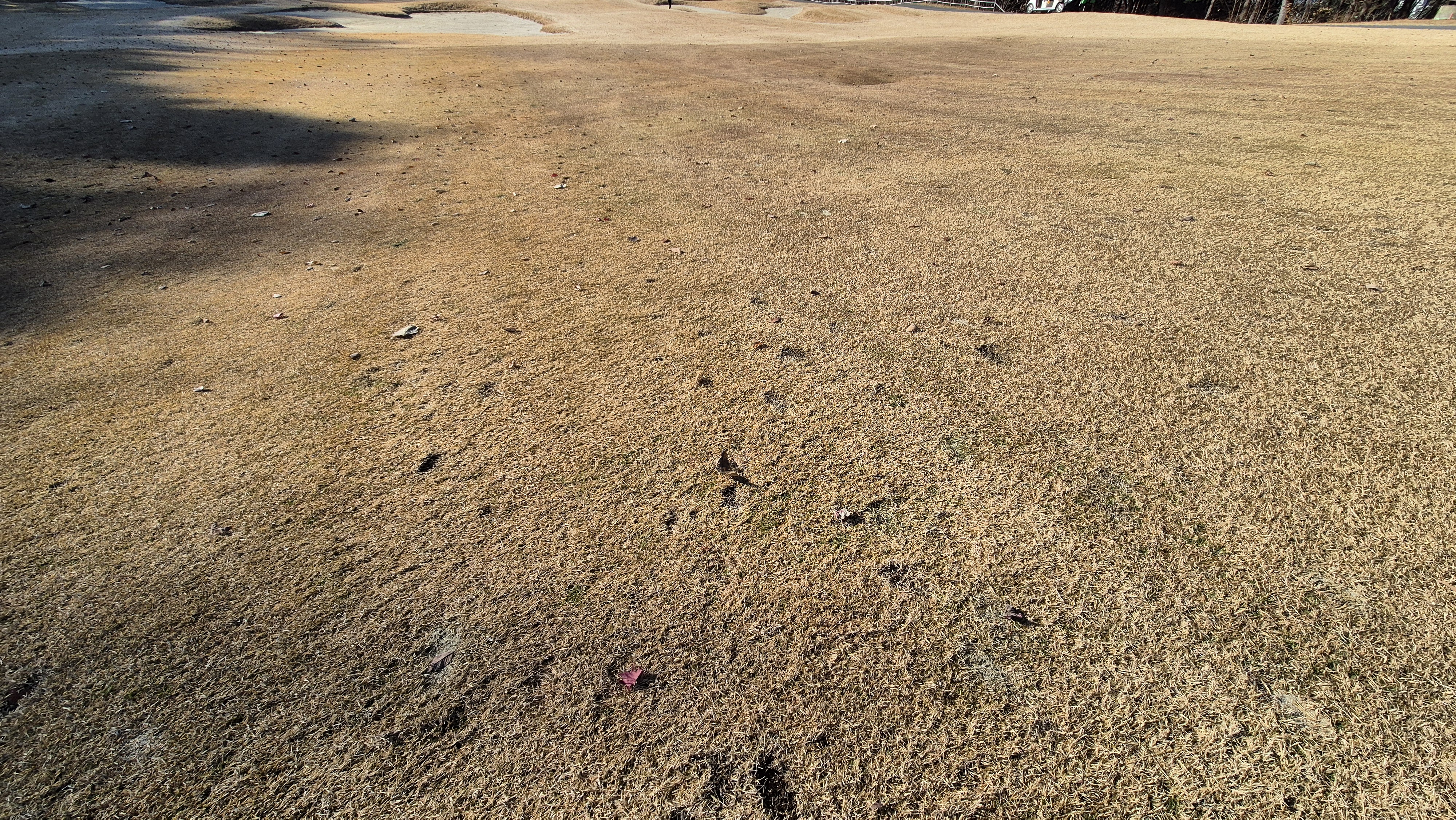 88cc 서코스 라운드 코스관리상태