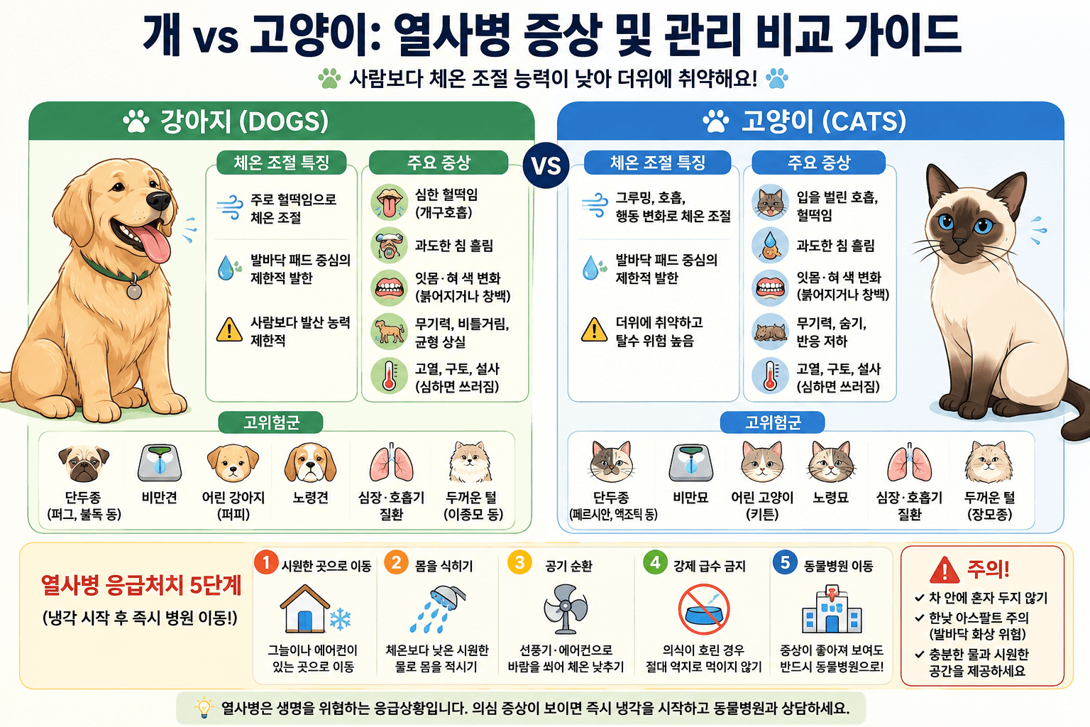 개 VS 고양이 : 열사병 증상 및 관리 비교 가이드