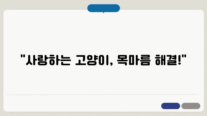 고양이 정수기 정말 필요할까? 브랜드 비교 및 필수 제품 가이드
