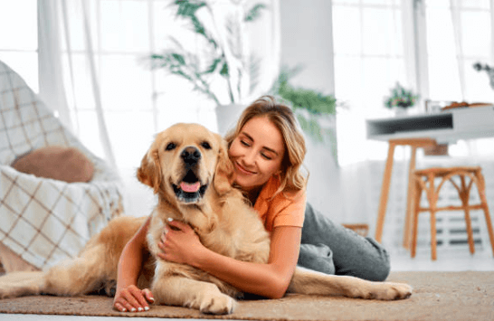 골든 리트리버와 즐거운 시간보내는 모습