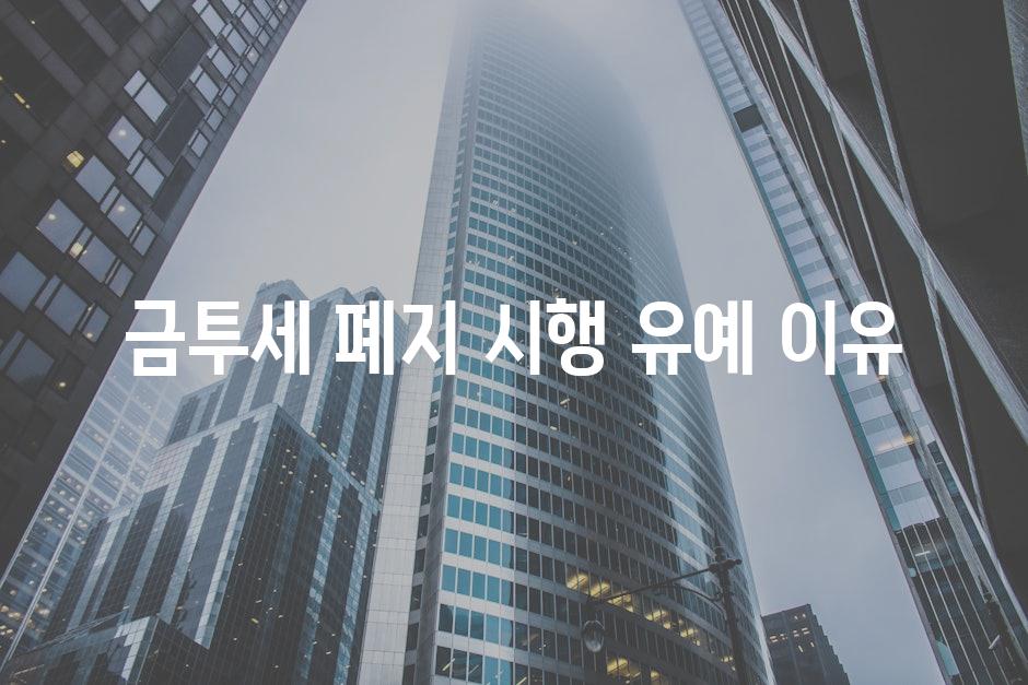 금투세 폐지 시행 유예 이유