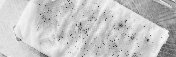 루꼴라 씨앗 심는 시기: 4월 중순 ~ 4월 말