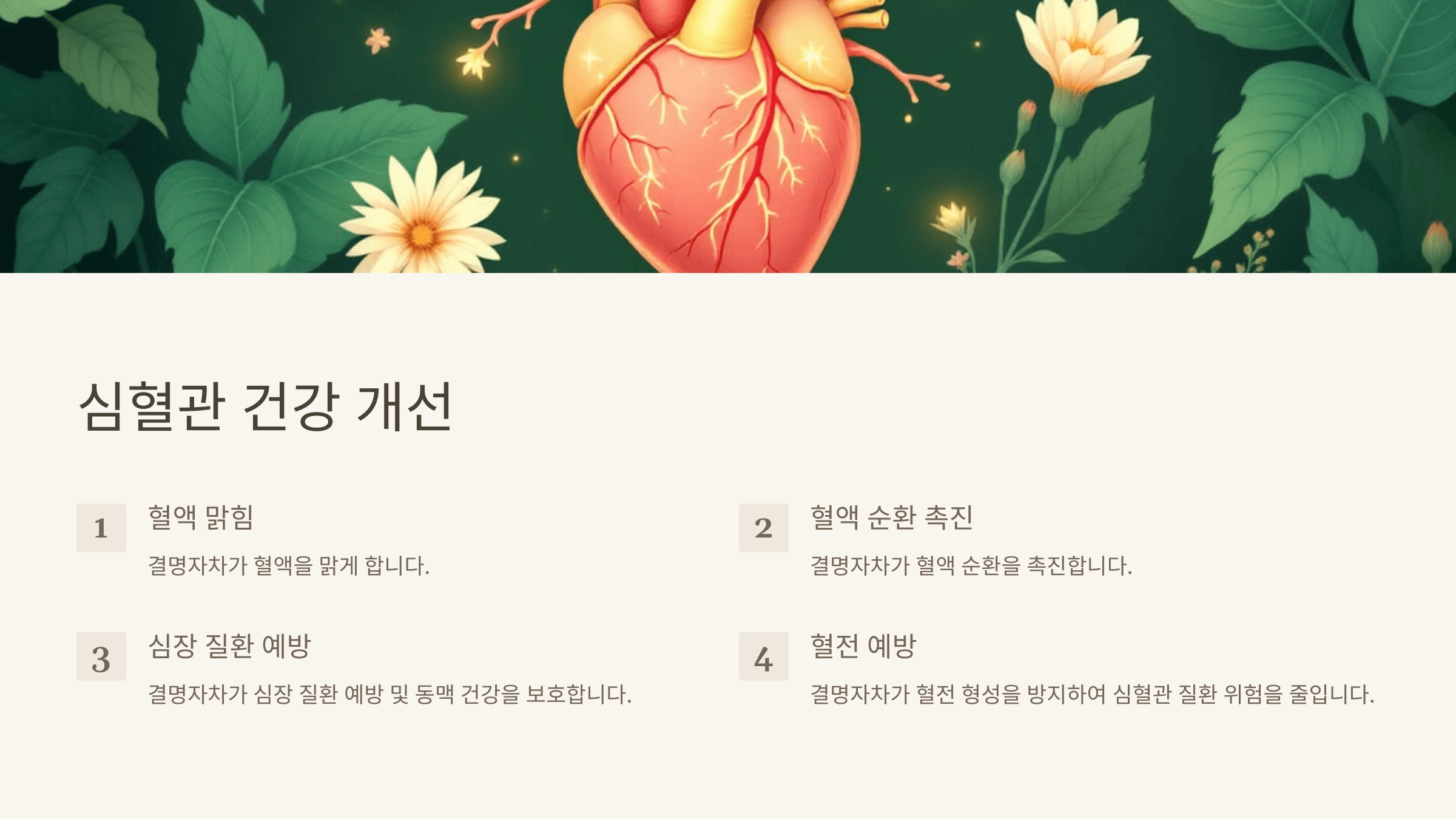 결명자차 사진입니다.