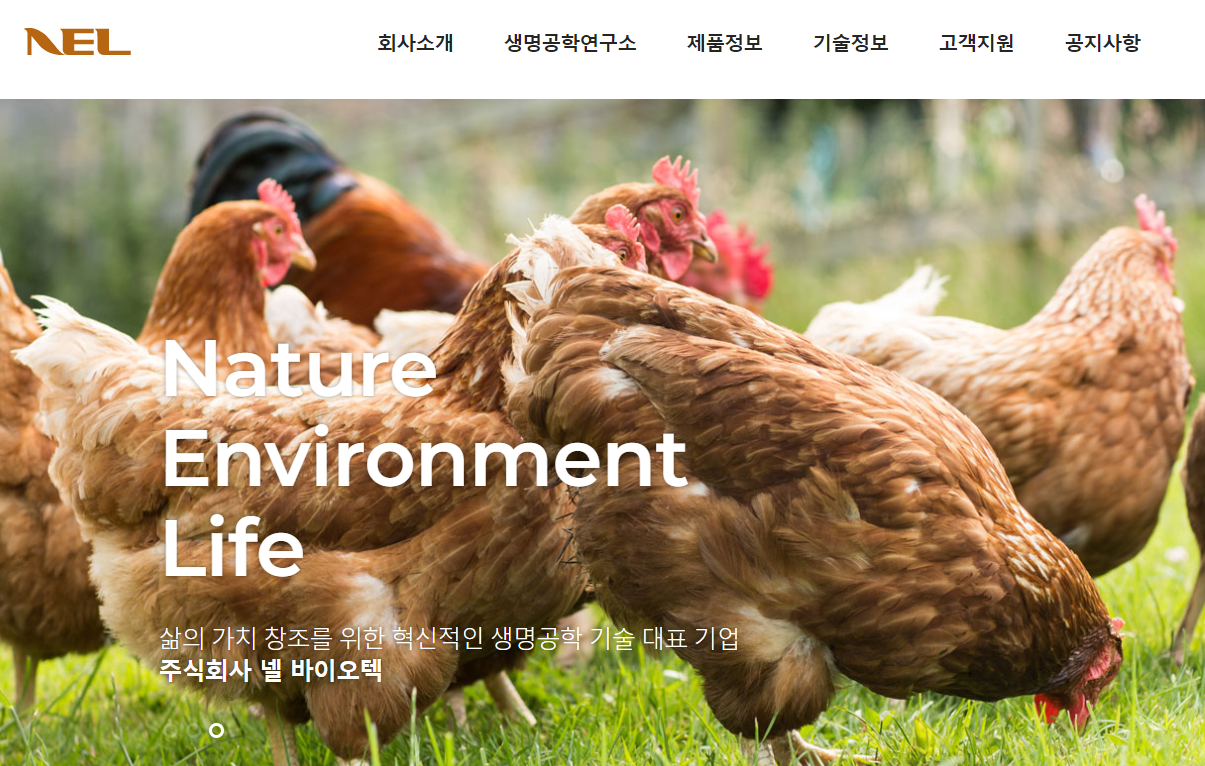 넬바이오텍 홈페이지