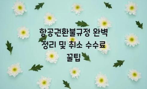 항공권환불규정