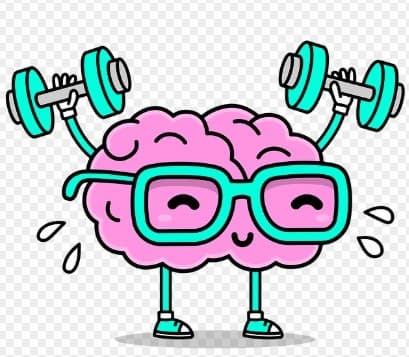 글리아타민 뇌영양제 치매예방🧠 효능 부작용 복용법 알아보기