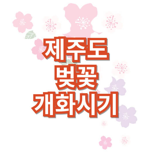 제주도-벚꽃-개화시기