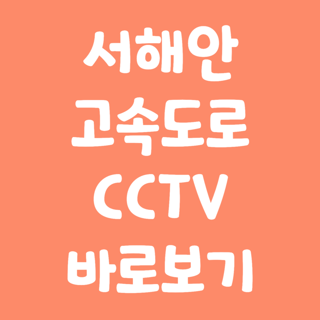 실시간 서해안고속도로 CCTV 바로보기