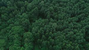 산림산업기사 응시자격 시험일정