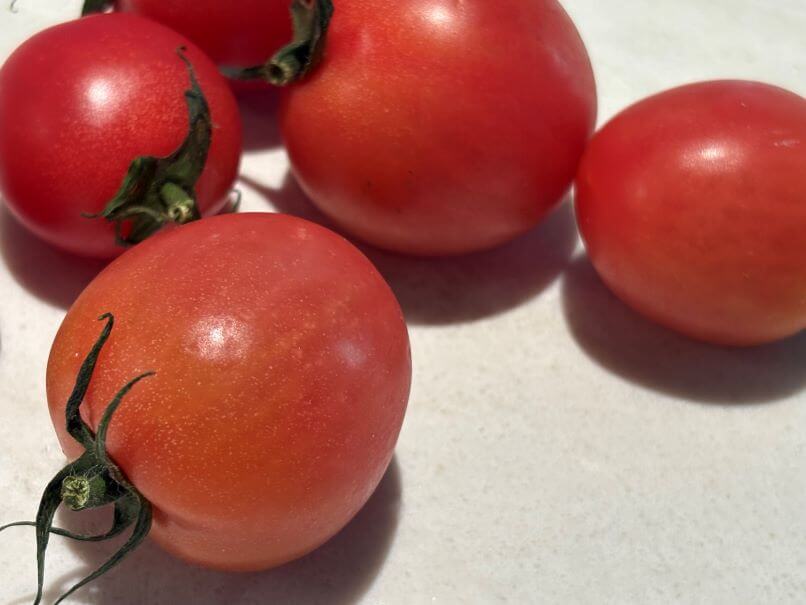 실키 핑크 토마토 맛