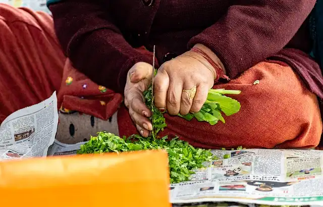 코 비염(알레르기성 비염) 완벽 가이드 – 증상, 원인, 치료법, 예방법까지!