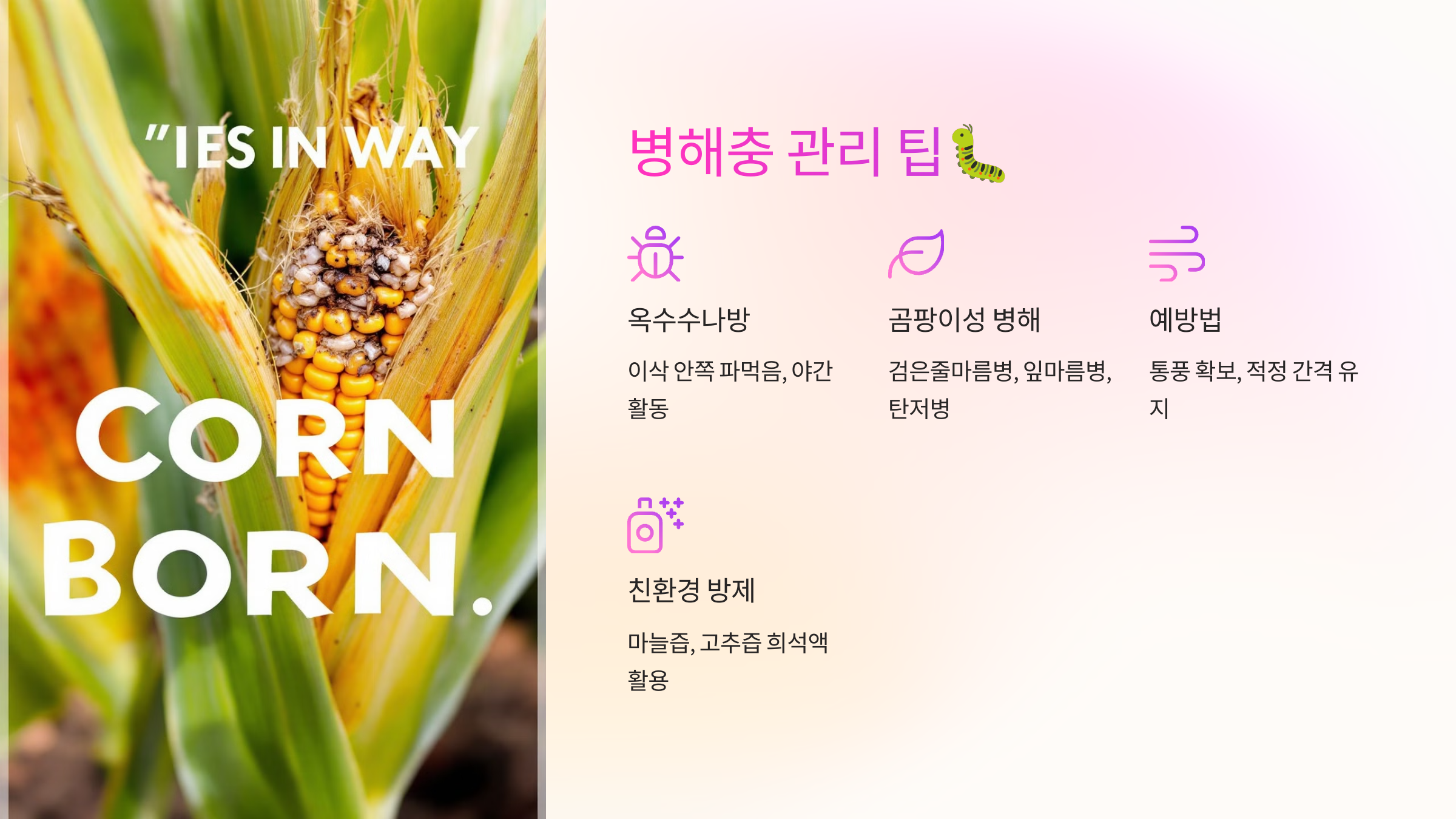 병해충 관리 팁🐛