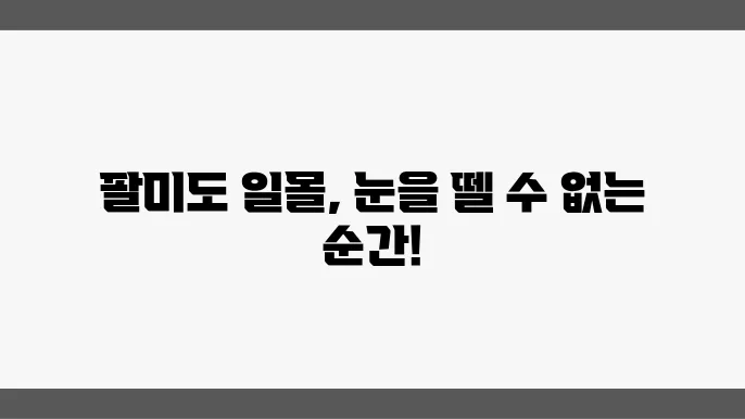 팔미도 유람선 기본 정보