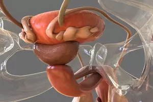발기부전 원인