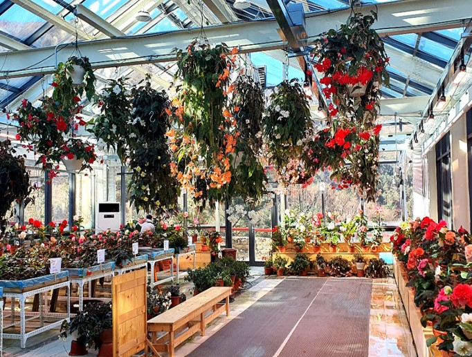 정선-로미지안-가든