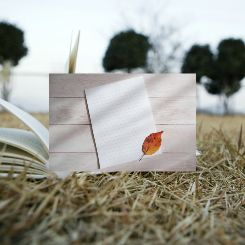 희랍어 시간 줄거리 : 노벨상 수상자 한강 작품 (고통과 치유에 대한 철학적 사유)