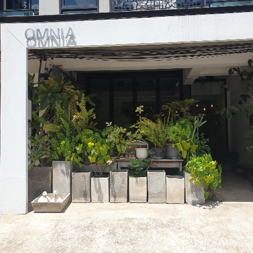 치앙마이 카페 투어 ② : 올드시티 북쪽 창푸악 카페들 (OMNiA Cafe & Roastery)_전면