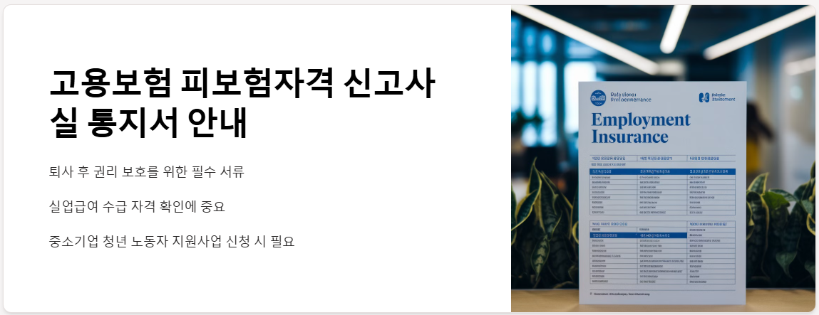 고용보험 피보험자격 신고사실 통지서