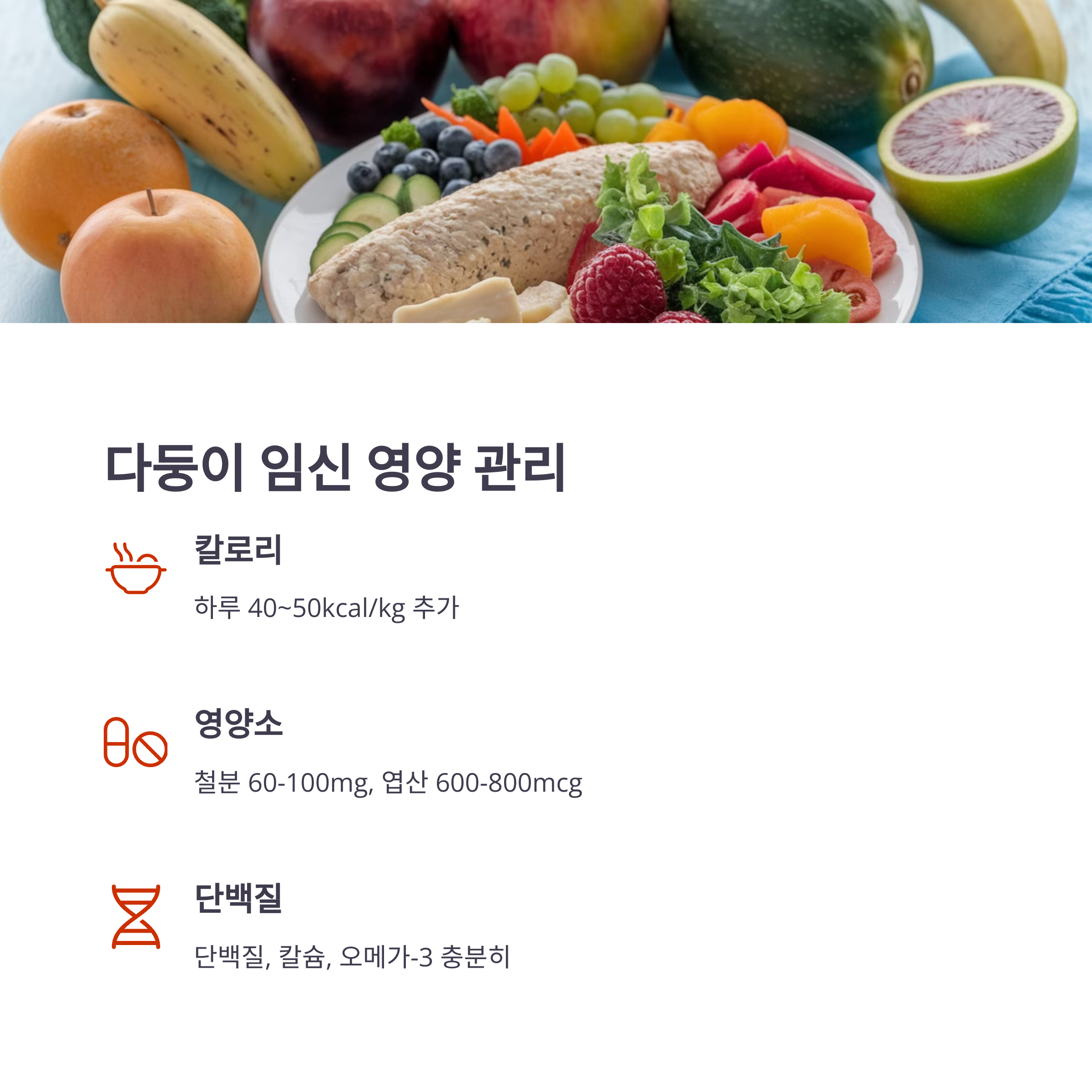 다태아 임신 시 필요한 영양소 요약 표