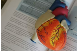 뇌출혈 전조증상과 자가진단 방법: