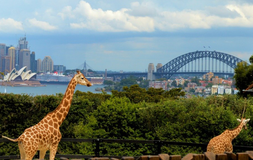 마이리얼트립 5월 할인쿠폰 모음