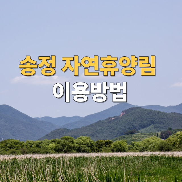송정자연휴양림 예약 방법부터 맛집, 여행지까지 한눈에!
