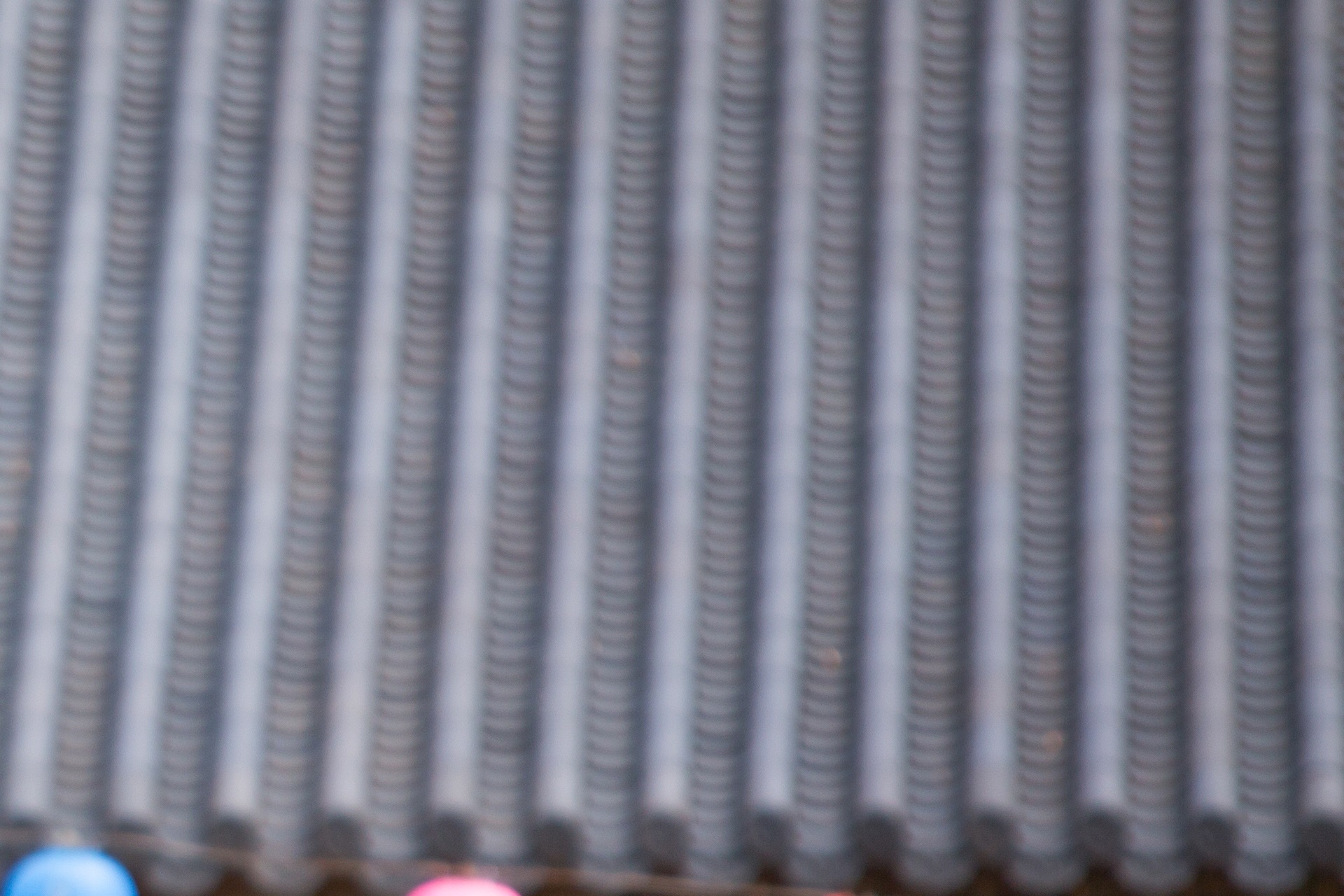 부처님오신날 대체공휴일