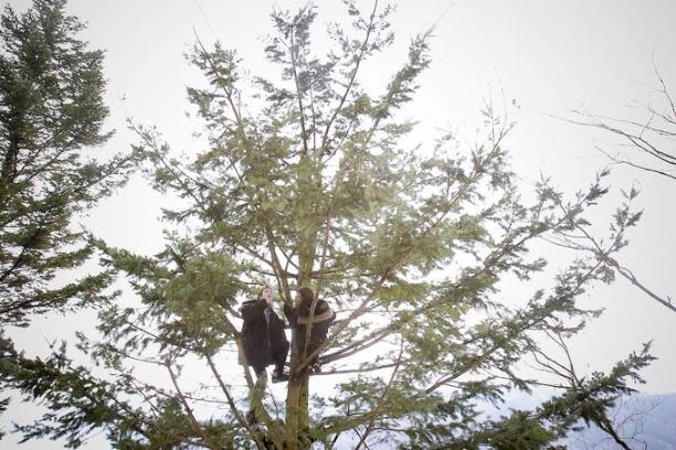 트와일라잇 네이버영화