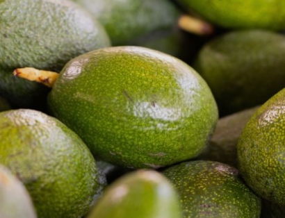 아보카도
