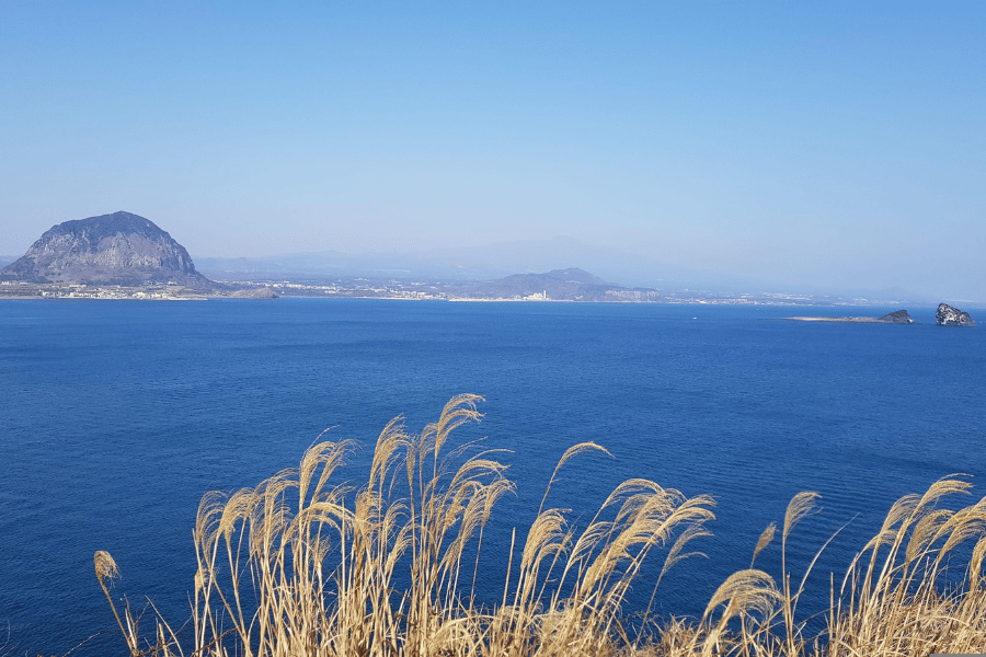 제주도 숨은 힐링 스팟