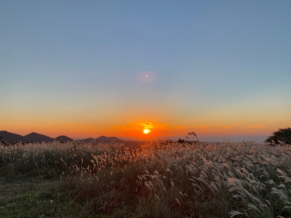 제주 서쪽 여행