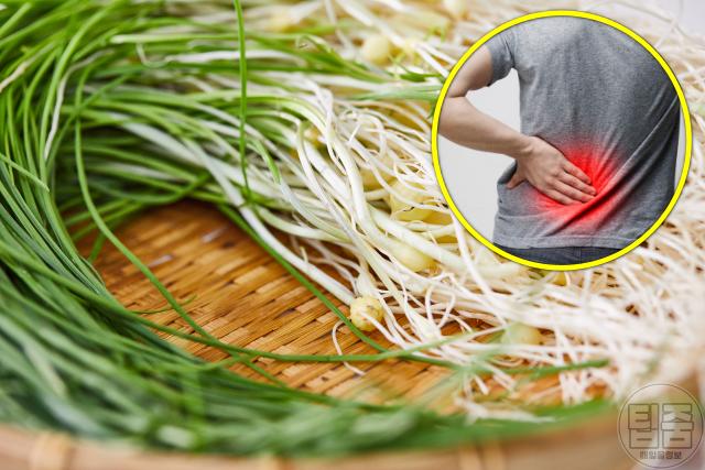 달래 효능 뼈에 좋은 영양제