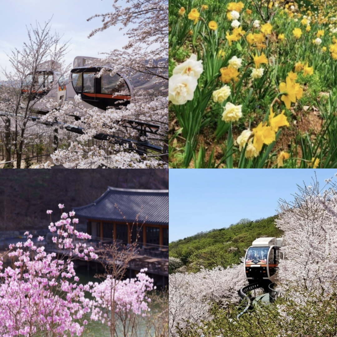 화담숲