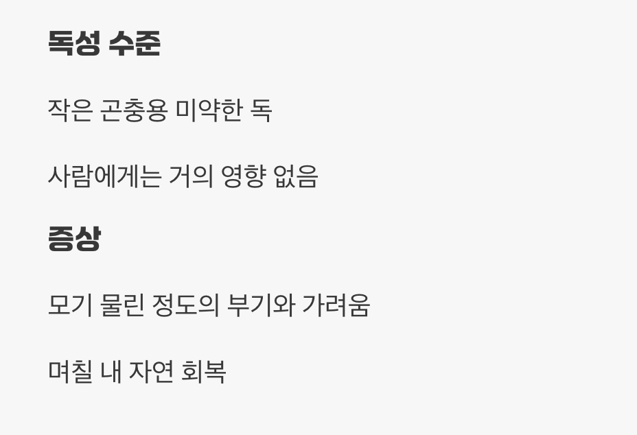 물리면 아픈가요? (feat. 독성은?)