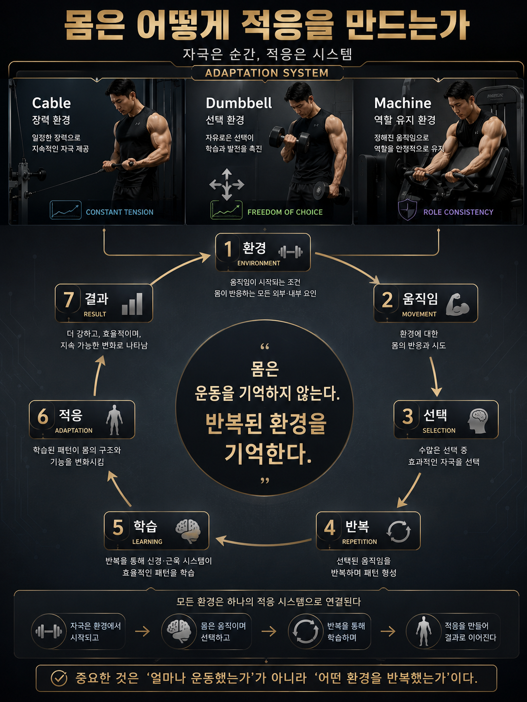 몸은 어떻게 적응을 만드는가