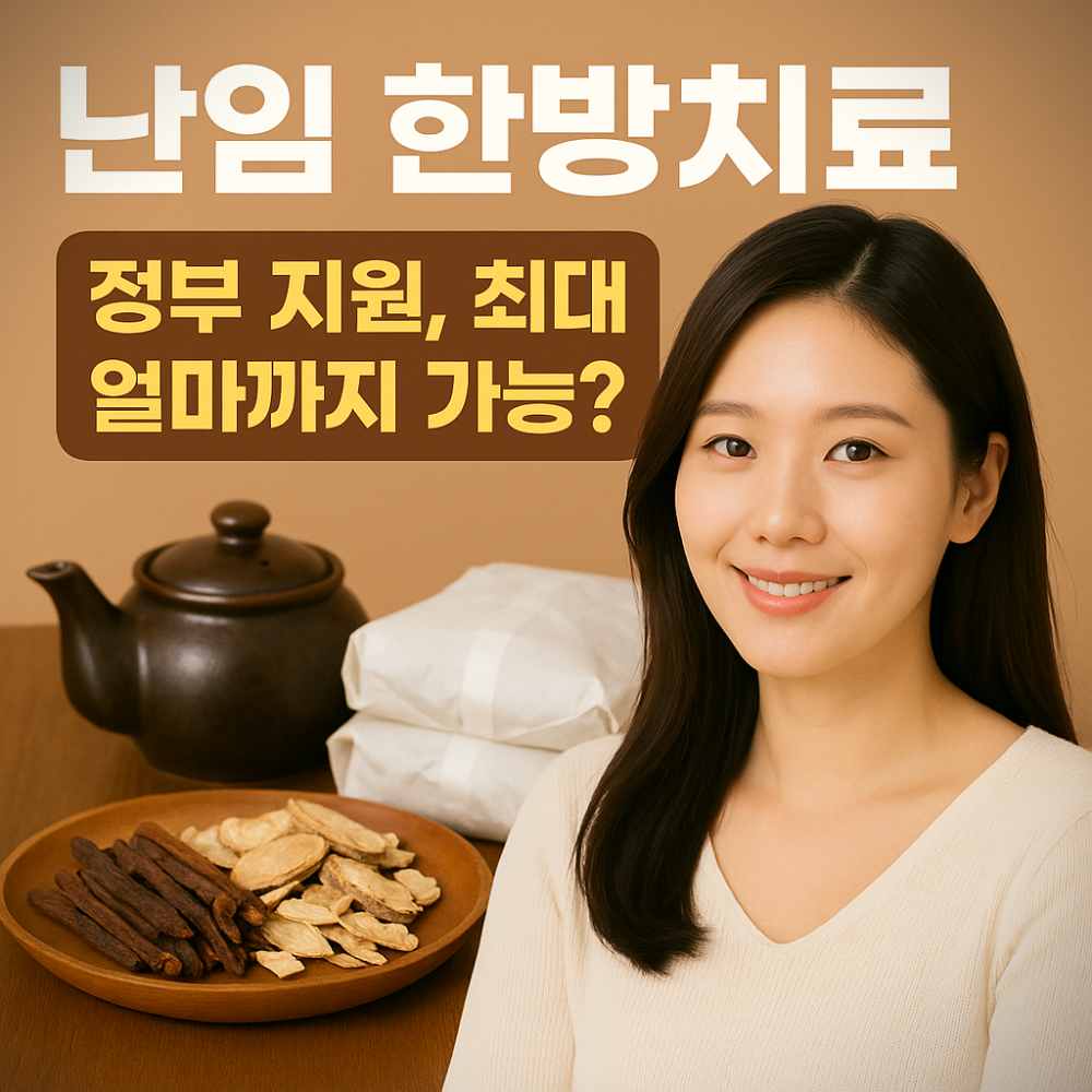 난임 한방치료 정부 지원, 최대 얼마까지 가능? 이미지